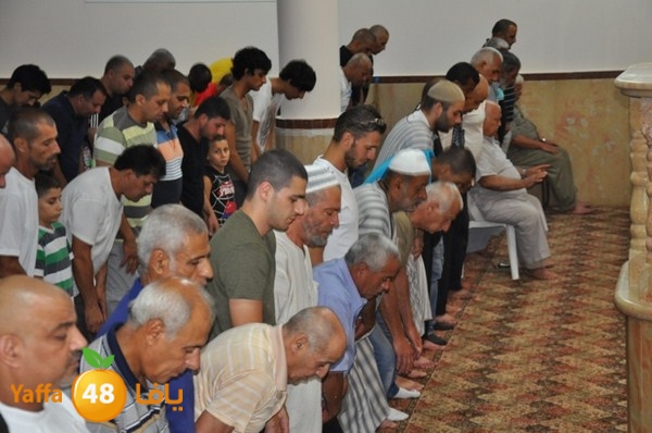 msajed amer qder 804 (4).JPG